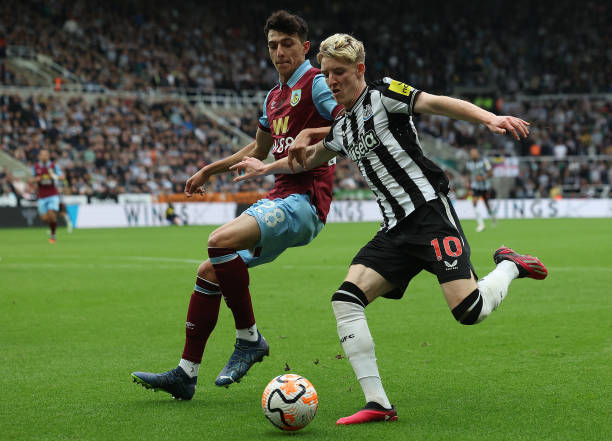 女姚明登陆WCBA？山东女篮主帅：球队正与张子宇协商加盟.