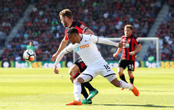 及观赏效果 及观赏效果